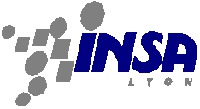 Logo INSA